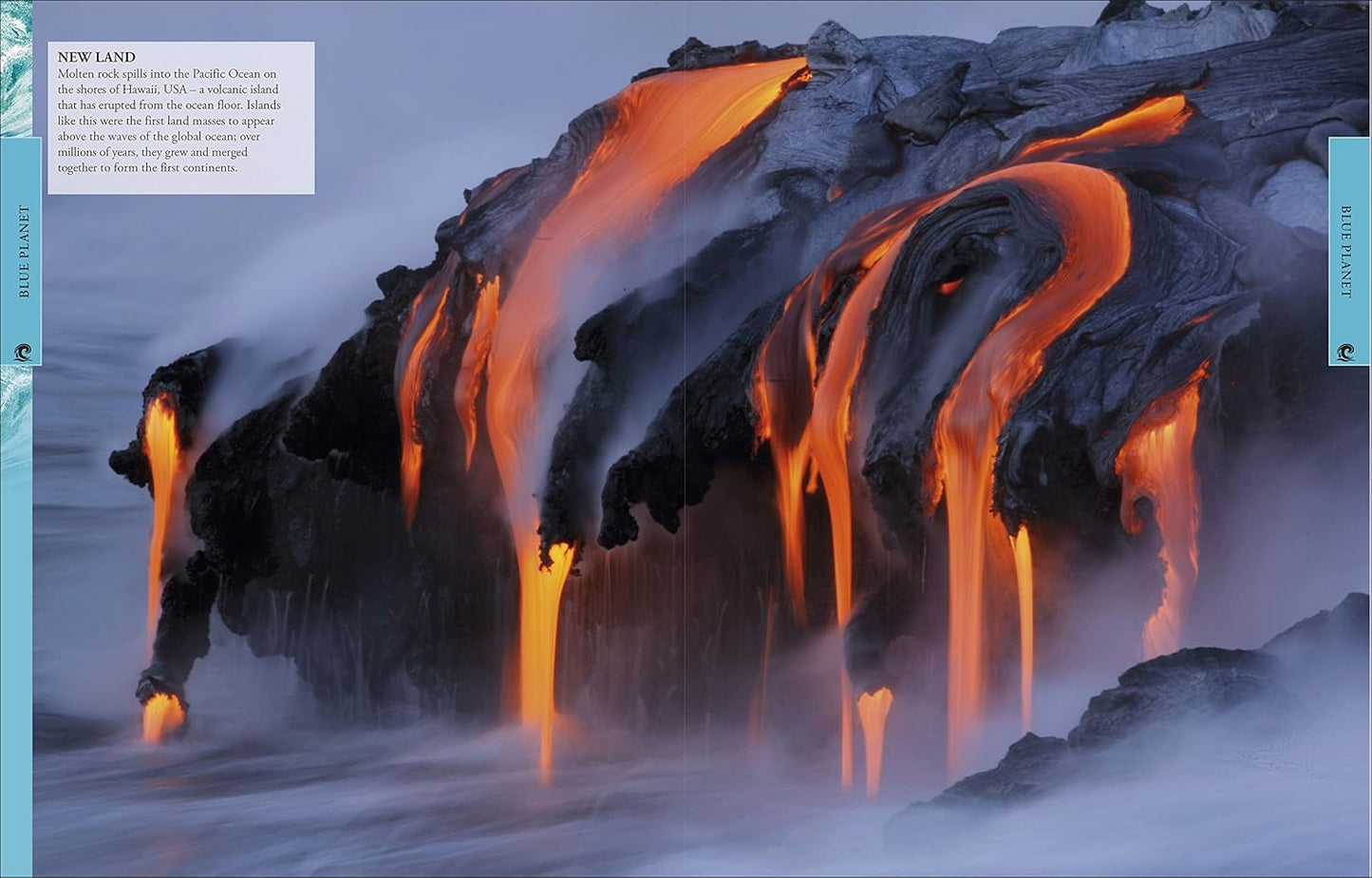 DK Ocean A Children's Encyclopedia