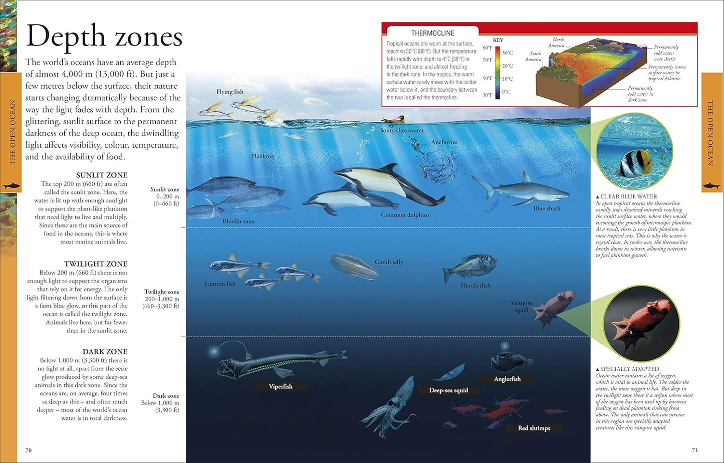 DK Ocean A Children's Encyclopedia