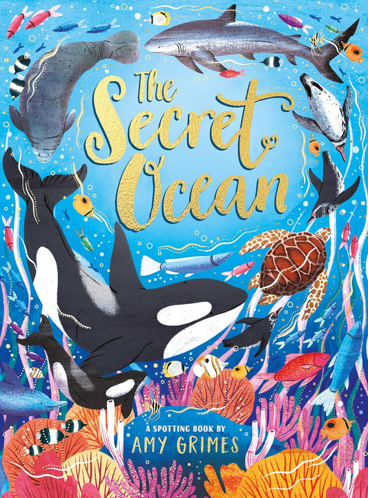 The Secret Ocean: A Spotting Book