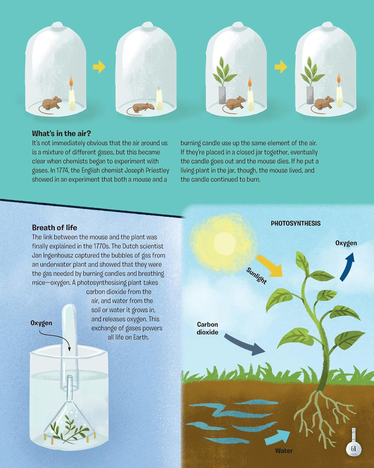 The Story Of Science