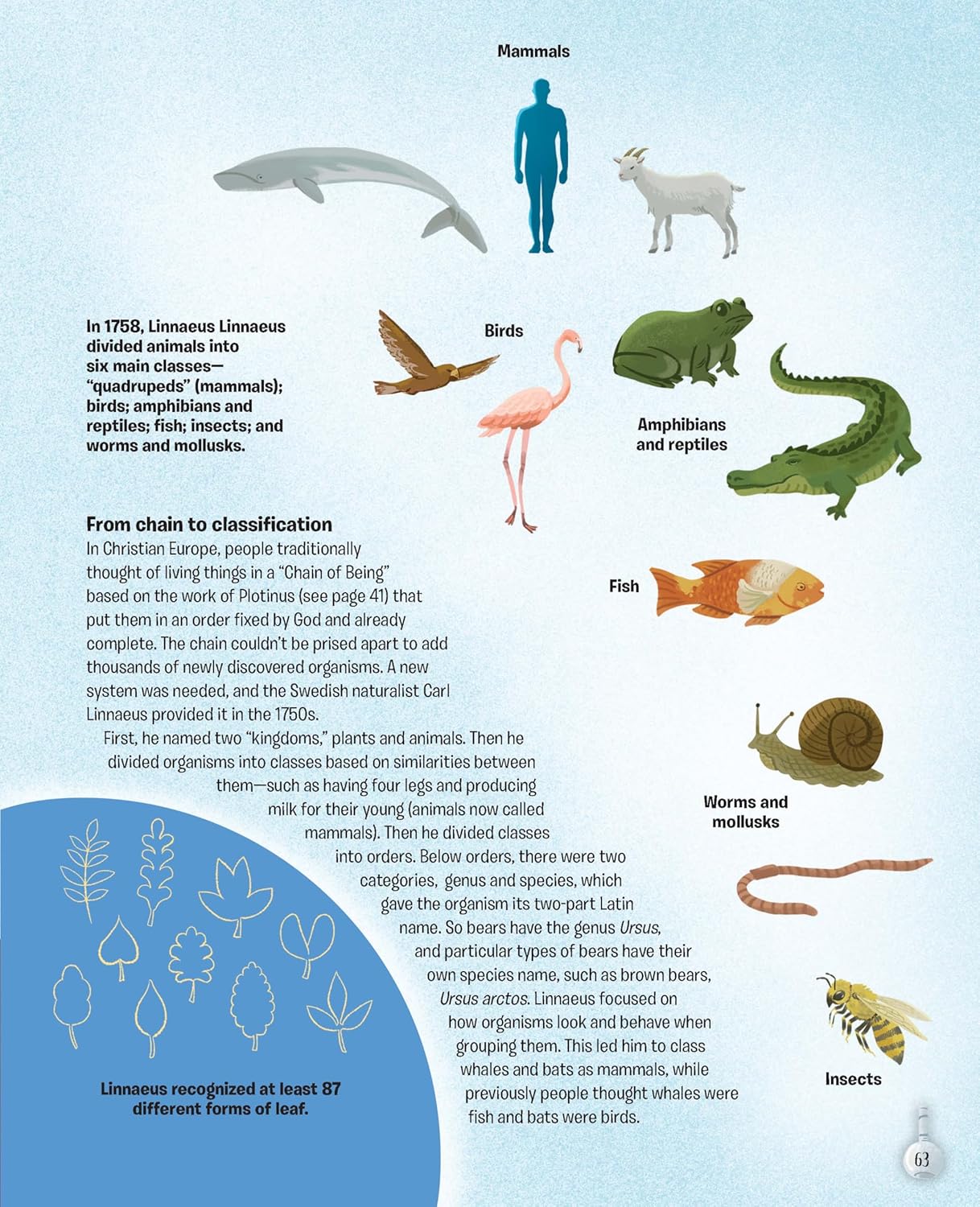 The Story Of Science