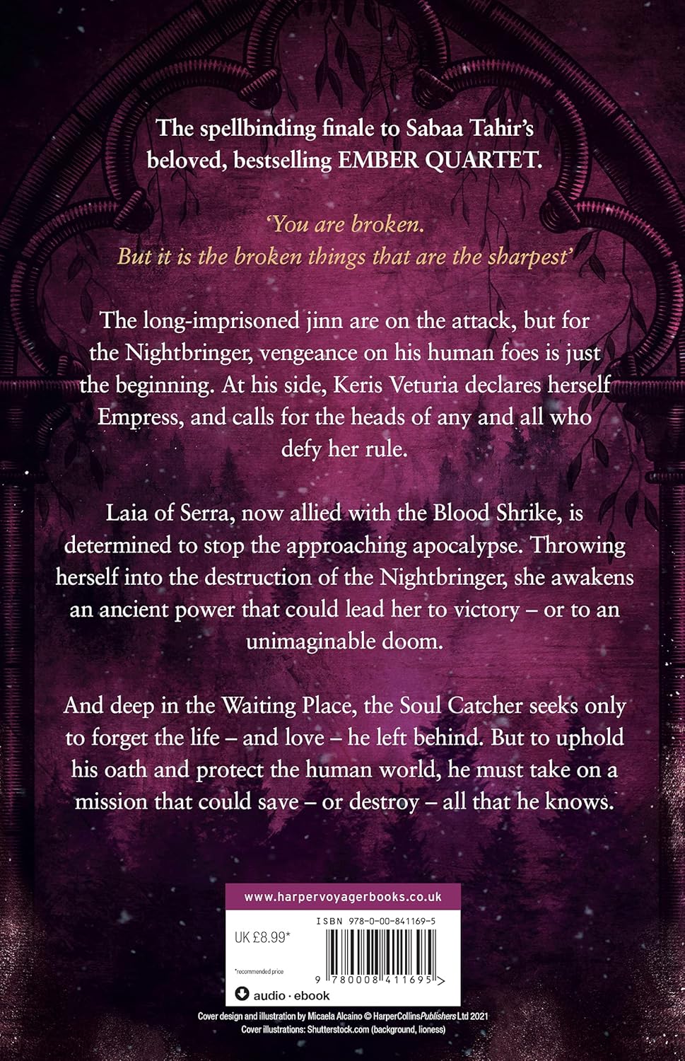 A Sky Beyond The Storm