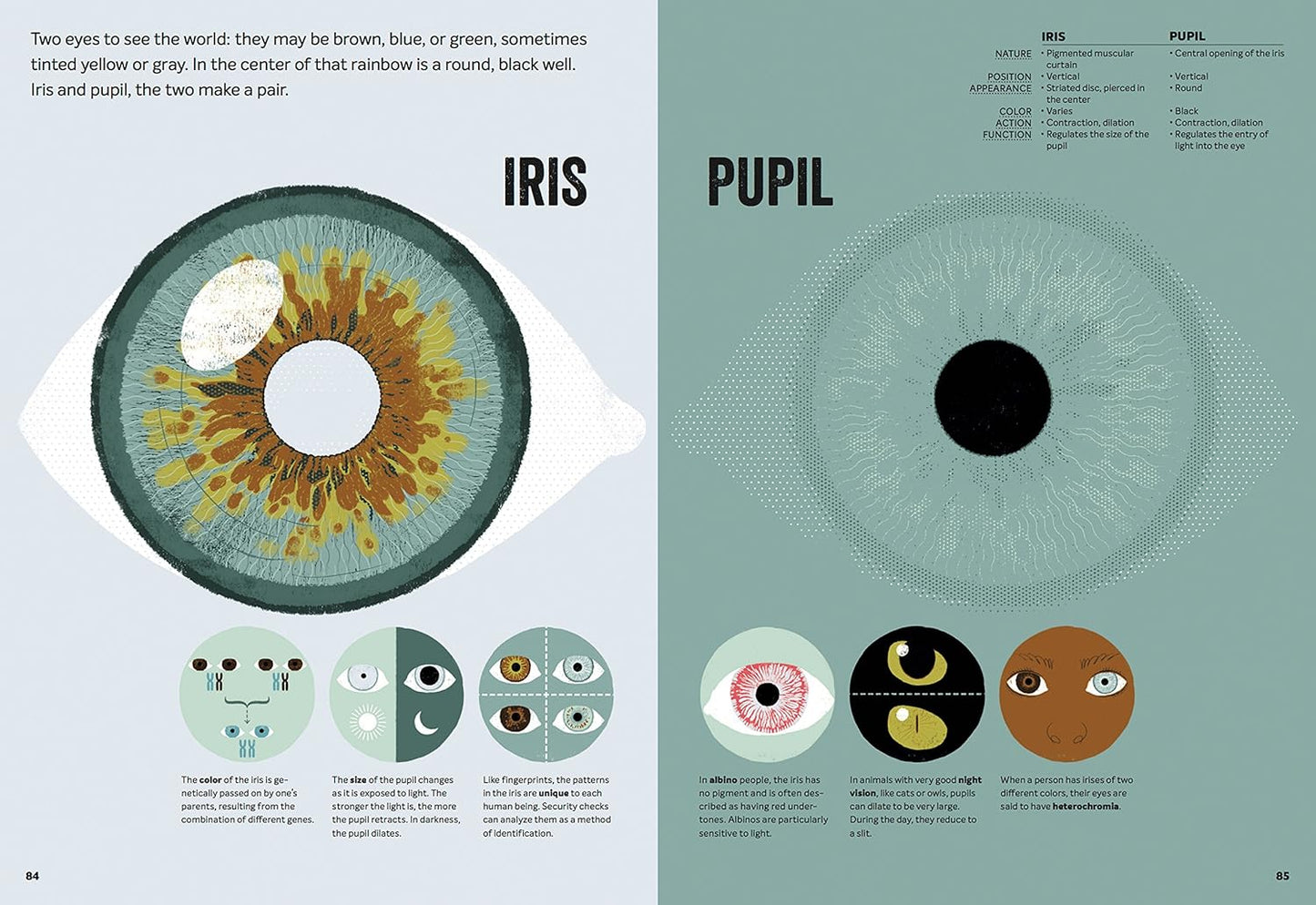 What Is Love? - Mac Barnett & Carson Ellis