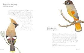 Atlas Of Amazing Birds