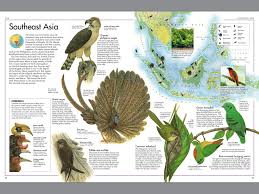 Atlas Of Amazing Birds