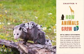 Do You Know Where The Animals Live? Discovering the Incredible Creatures all Around Us