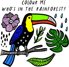 Colour Me: Who's in the Rainforest?
