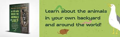 Do You Know Where The Animals Live? Discovering the Incredible Creatures all Around Us