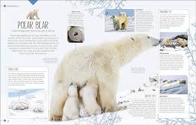 DK Born to be Wild: How Baby Animals Survive and Thrive