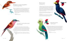 Atlas Of Amazing Birds