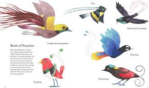 Atlas Of Amazing Birds