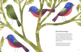 Atlas Of Amazing Birds