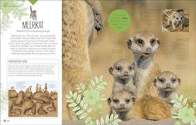 DK Born to be Wild: How Baby Animals Survive and Thrive