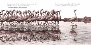 Bibi: A Flamingo's Tale