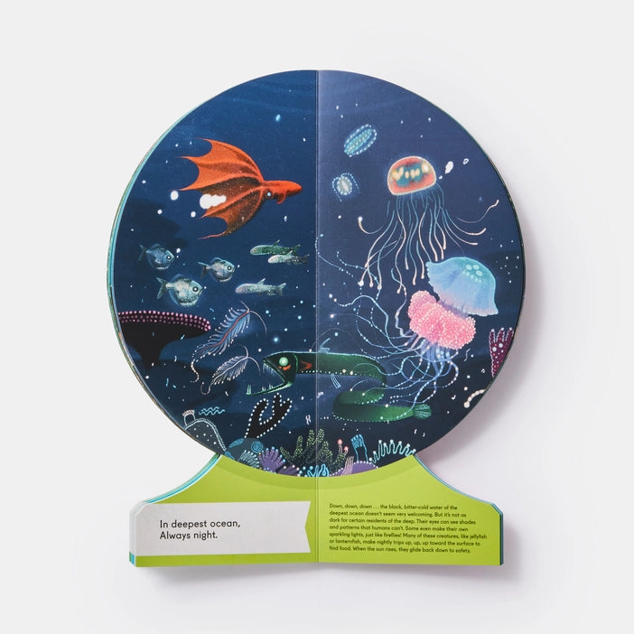 Our Underwater World: A First Dive Into Oceans, Lakes, And R