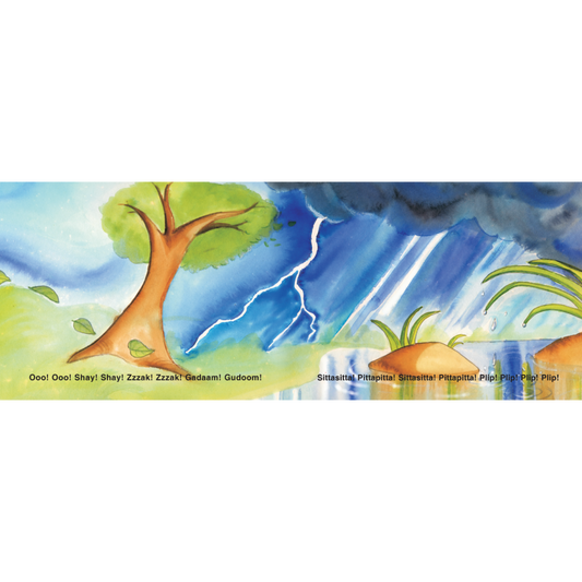 Sunu-Sunu Snail: Storm in the Garden - Sandhya Rao & Ashok Rajagopalan