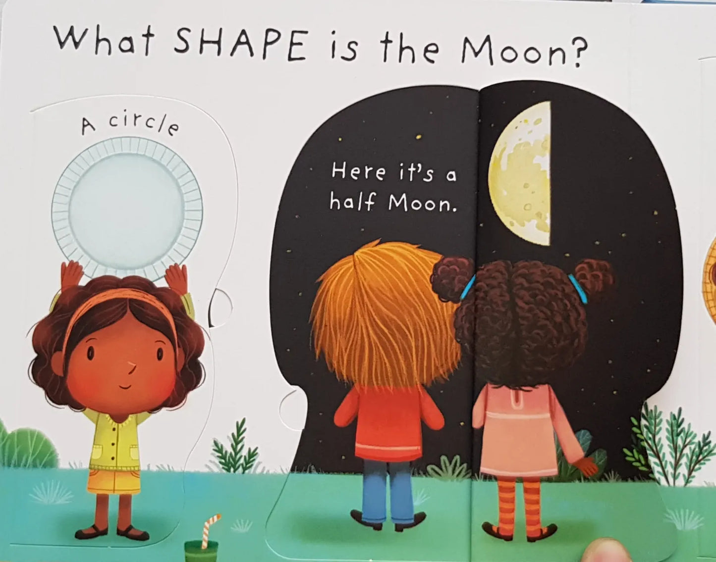 Usborne Lift-the-flap Very First Questions and Answers: What is the Moon?