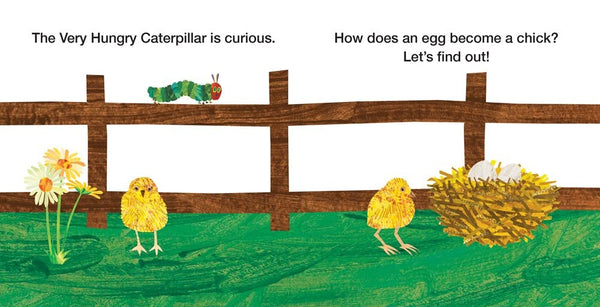 How Does an Egg Hatch?: Life Cycles with The Very Hungry Caterpillar