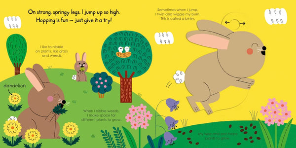 My Little Green World: Rabbit