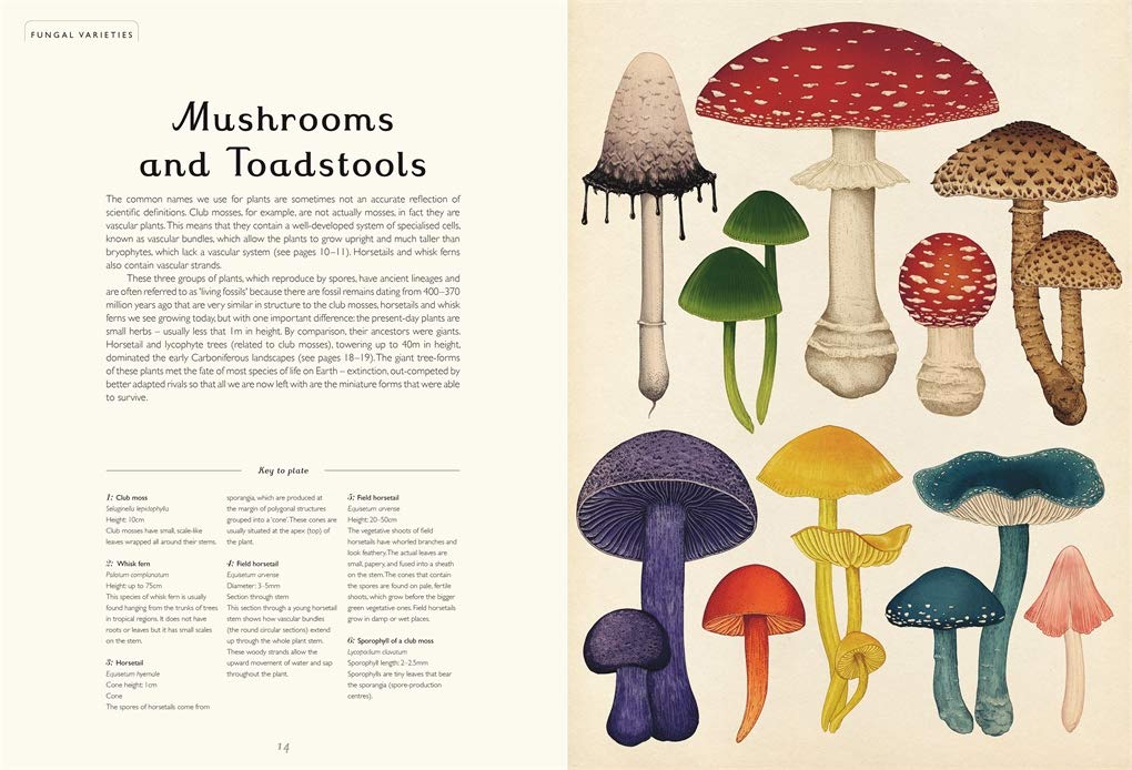 Welcome to the Museum: Fungarium