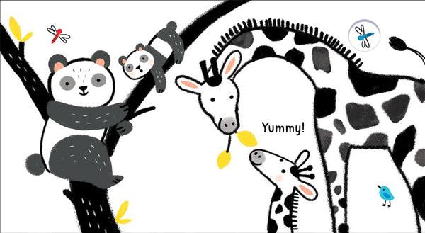 Usborne: Baby’s Black and White Books Animals