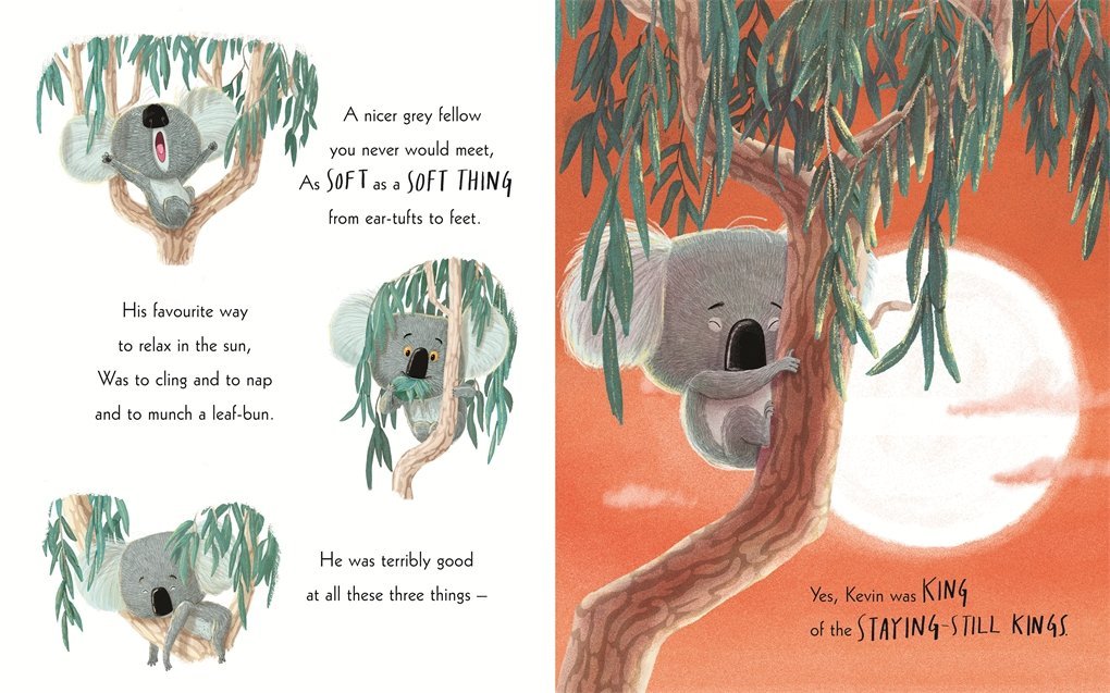 The Koala Who Could - Rachel Bright (Board Book)