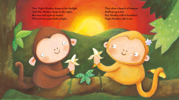 Night Monkey, Day Monkey - Julia Donaldson