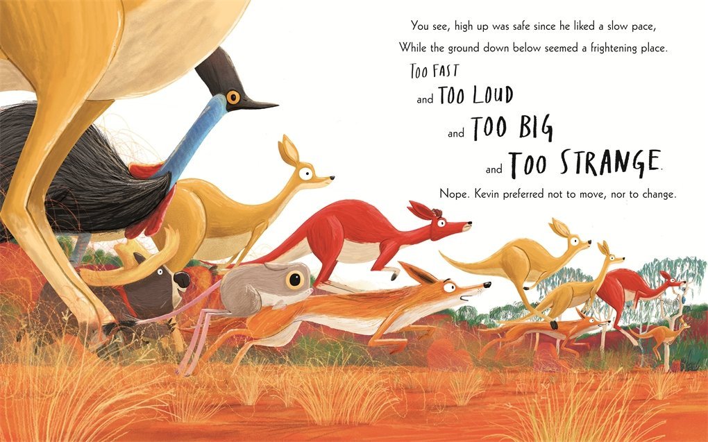 The Koala Who Could - Rachel Bright (Board Book)