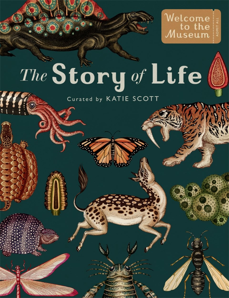 The Story of Life: Evolution (Extended Edition) Welcome To The Museum