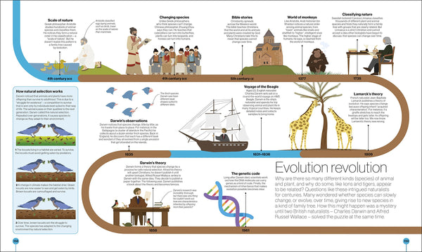 Timelines of Science: From Fossils to Quantum Physics