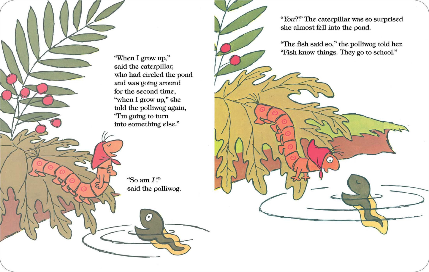 The Caterpillar and the Polliwog