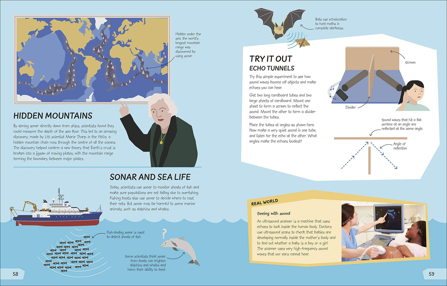 DK What's the Point of Science?