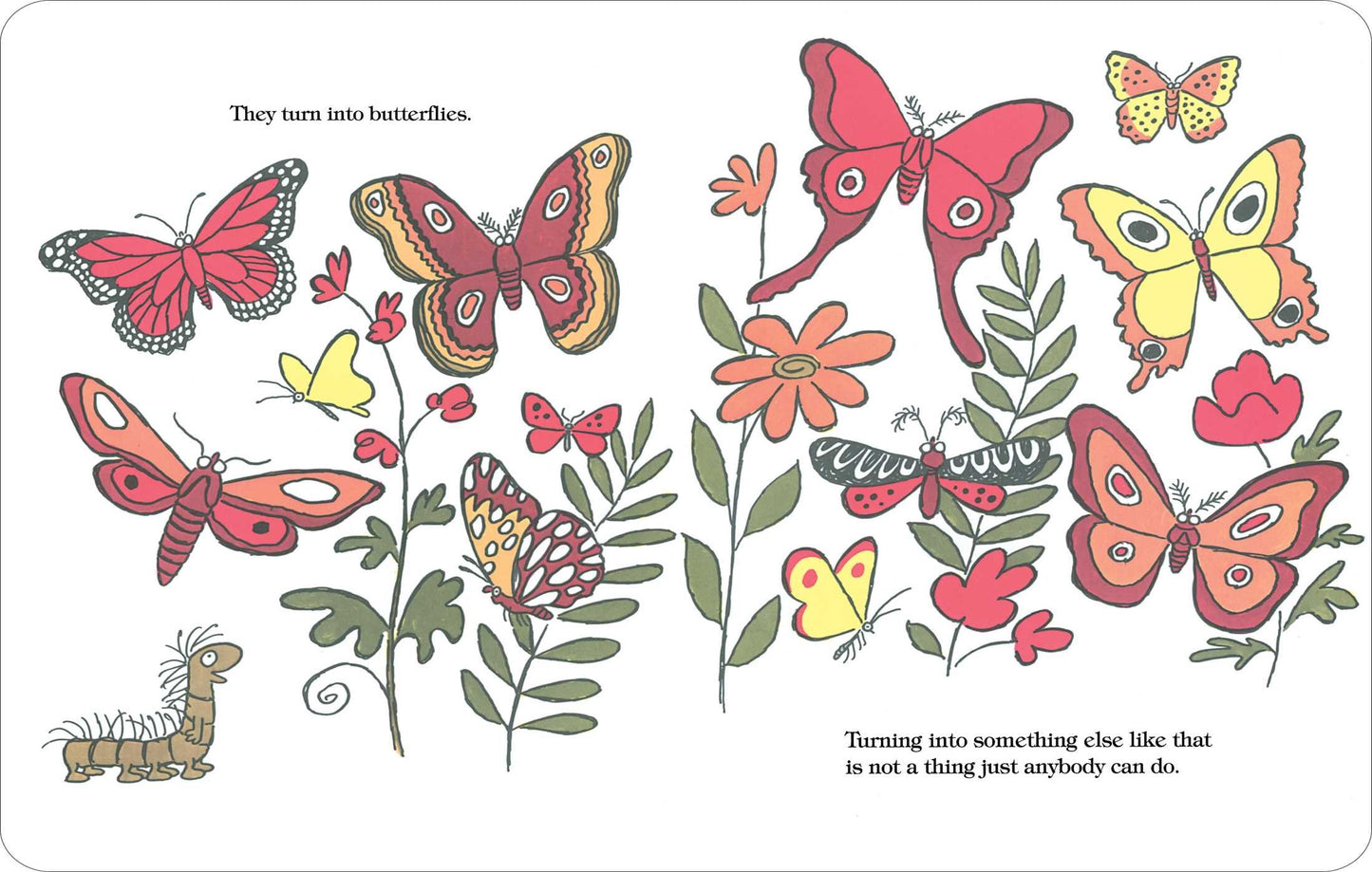 The Caterpillar and the Polliwog
