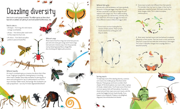 One Million Insects