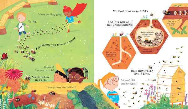 Usborne Can we really Help the Bees?