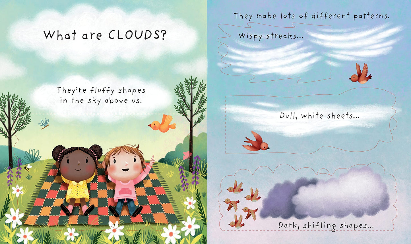 Usborne Lift-the-Flap Very First Questions and Answers: What are Clouds?