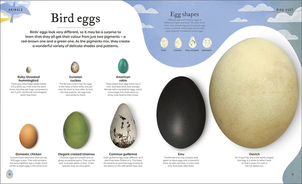 Nature's Treasures: Tales Of More Than 100 Extraordinary Objects From Nature