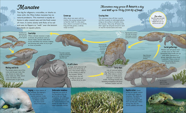 Water Cycles