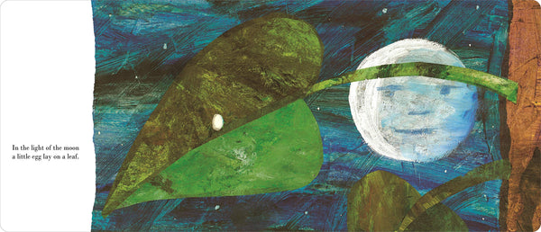 The Very Hungry Caterpillar - Eric Carle