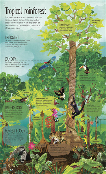 The Magic and Mystery of Trees