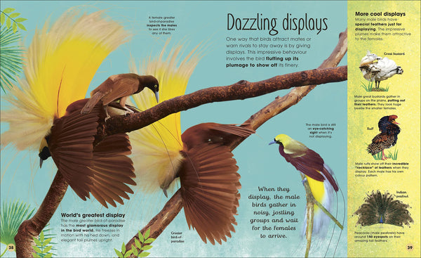 DK The Extraordinary World of Birds