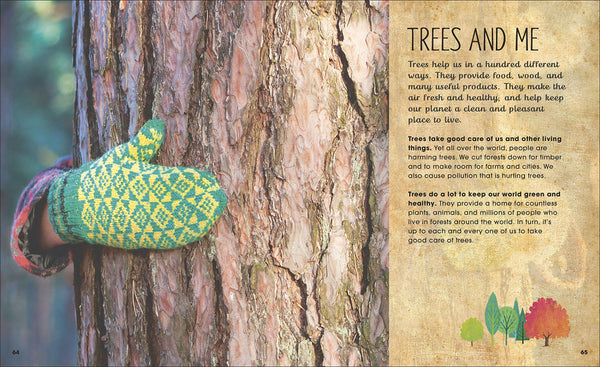 The Magic and Mystery of Trees