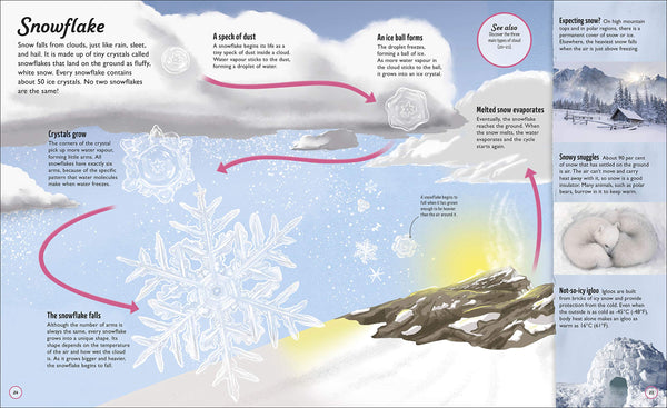 Water Cycles