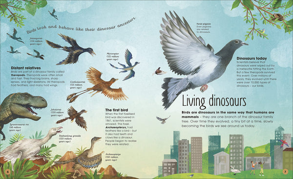 DK The Extraordinary World of Birds