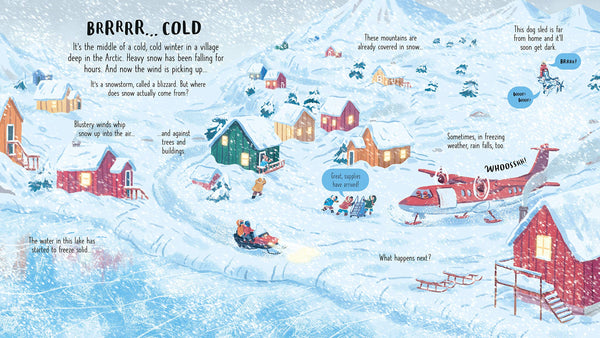 Usborne Look Inside Wild Weather