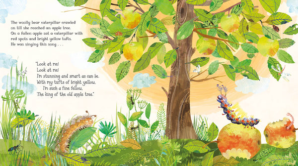 The Woolly Bear Caterpillar - Julia Donaldson