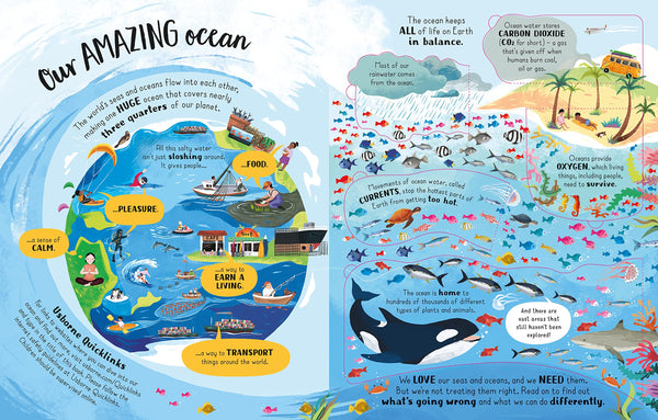 Usborne Lift-the-flap Looking After Our Ocean