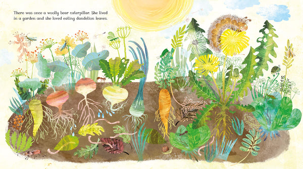 The Woolly Bear Caterpillar - Julia Donaldson
