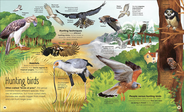DK The Extraordinary World of Birds