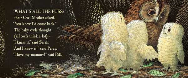 Owl Babies
